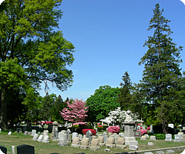 panoramic view of the cemetery, showing trees and graves